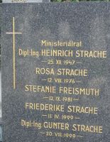 Strache; Freismuth