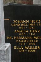 Herz; Müller