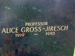Gross-Jiresch