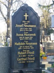 Neumann; Morawek; Friedl