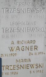 Trzesniewski; Wagner