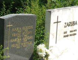 Antony; Herzog; Hitsch; Zaruba