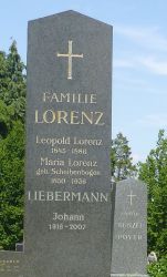 Lorenz; Scheibenbogen; Liebermann