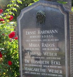 Hartmann; Rados; Weber; Eckl