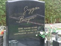 Grygar; Bayer