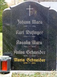 Mara; Wilfinger; Schneider