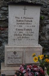 Fritsch; Werner; Hollaus