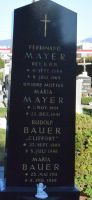 Mayer; Bauer; Cliffort