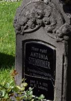 Steinbichler