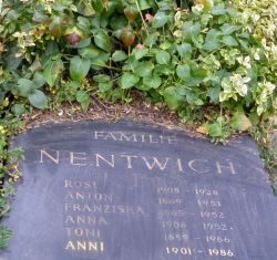 Nentwich