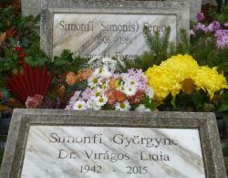 Simonfi; Simonis; Viragos