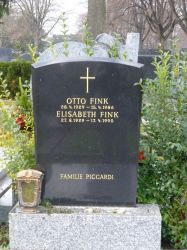 Fink; Piccardi