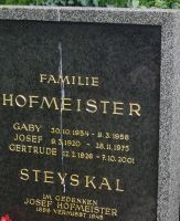 Hofmeister; Steyskal