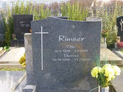 Rimser