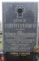 Turteltauber; Schneider