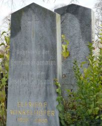 Winkelhofer; Krizanick; Hammer