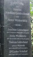 Goldschmid; Winternitz; Goldschmid geb. Winternitz; Schidlof
