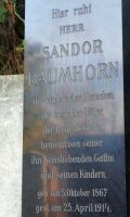 Baumhorn