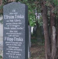 Trnka