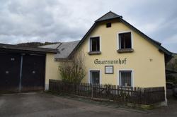 Miesenbach / Scheuchenstein 71 - Gauermannhof