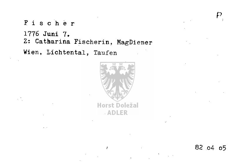 Fischer Catharina