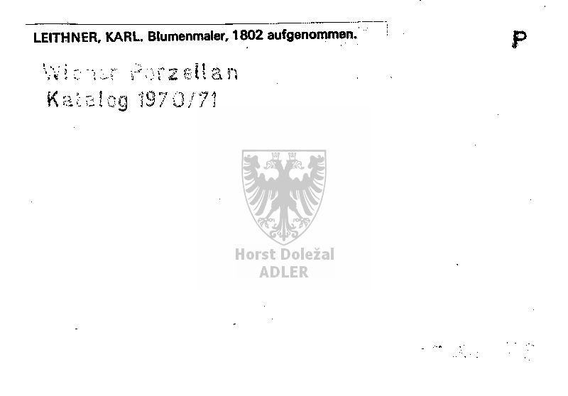 Leithner Karl