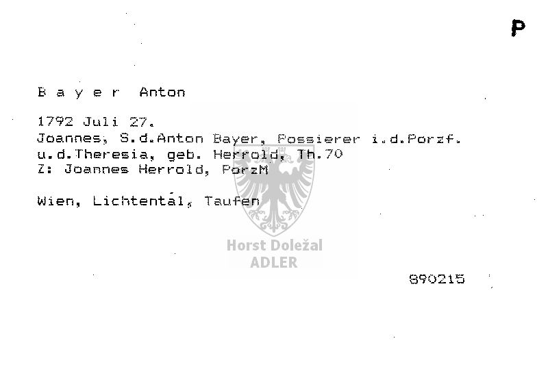 Bayer Anton