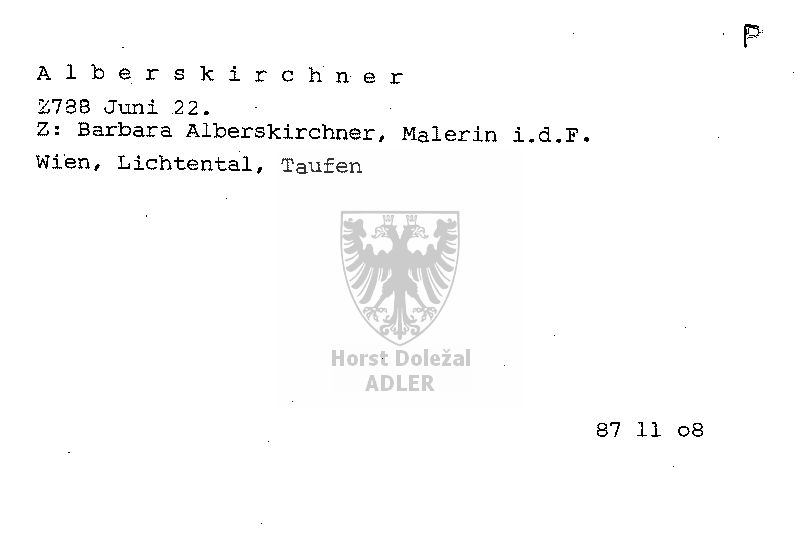 Alberskirchner Barbara, Malerin