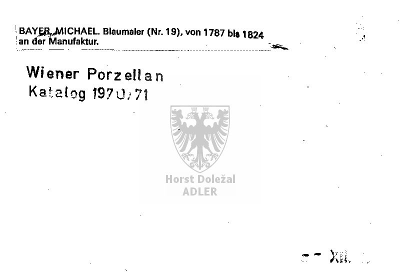 Bayer Michael