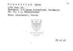 Schuhfried Jgnaz