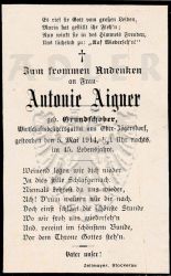 Aigner, Antonie (geb. Grundschober),
Wirtschaftsbestzersgattin aus Ober-Jögersdorf,
+05 MAY 1914 (44)