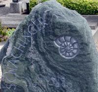 Tier Symbol-Ammonit