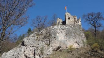Tiergarten Sparbach, Ruine
