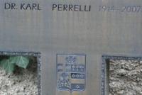 Perrelli (2007)