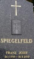 Spiegelfeld (2012)