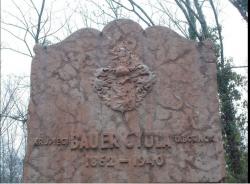 Bauer Gyula
